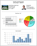 Viewing Statistics & Reports